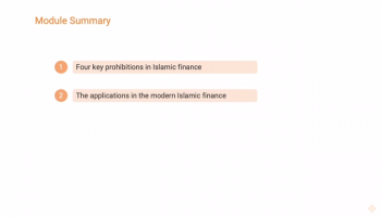 Main Prohibitions in Islamic Finance: Summary