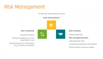 Insurance as Risk Management Tool