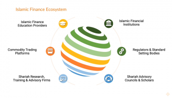 Islamic Finance Ecosystem Key Stakeholders