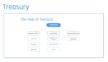 Introduction to the Role of Treasury