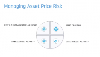 Managing Asset Price Risk in Sukuk