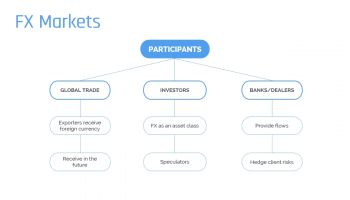 FX Markets Participants